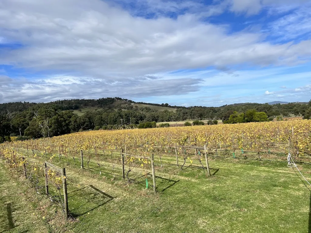 Steels Gate Wines_Buxton_slider_image_3