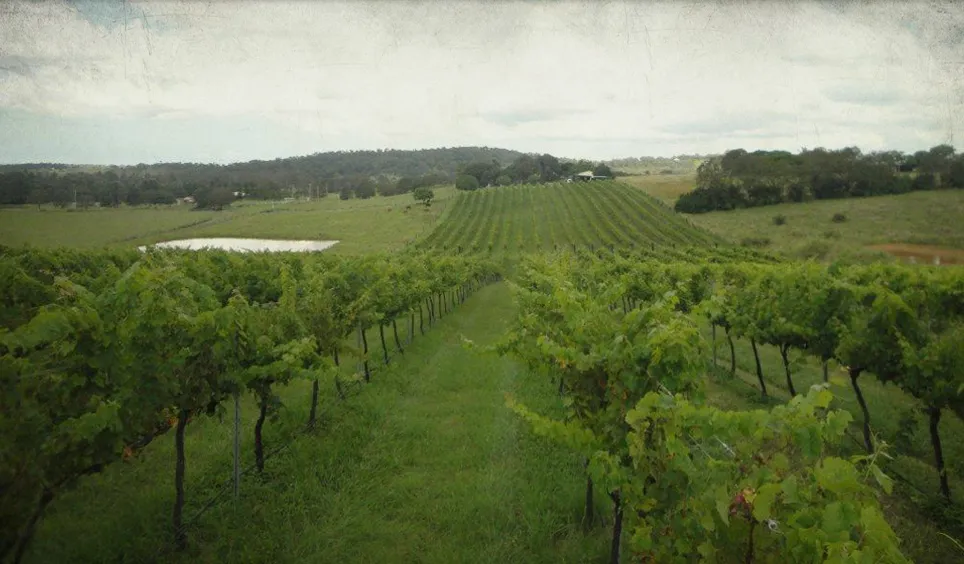 Vintner's Secret ristorante a Childers