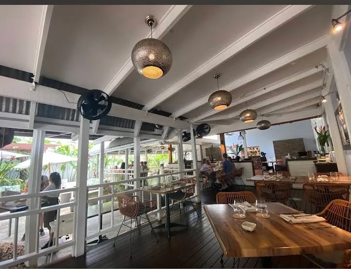 Melaleuca_Port Douglas_slider_bild_1