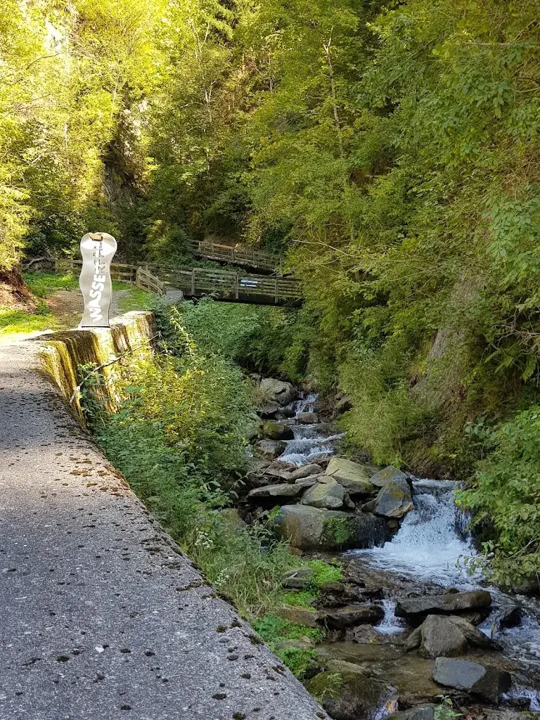 Ana Pušnik_Gasthaus Wasserfall_Feld am See_avis