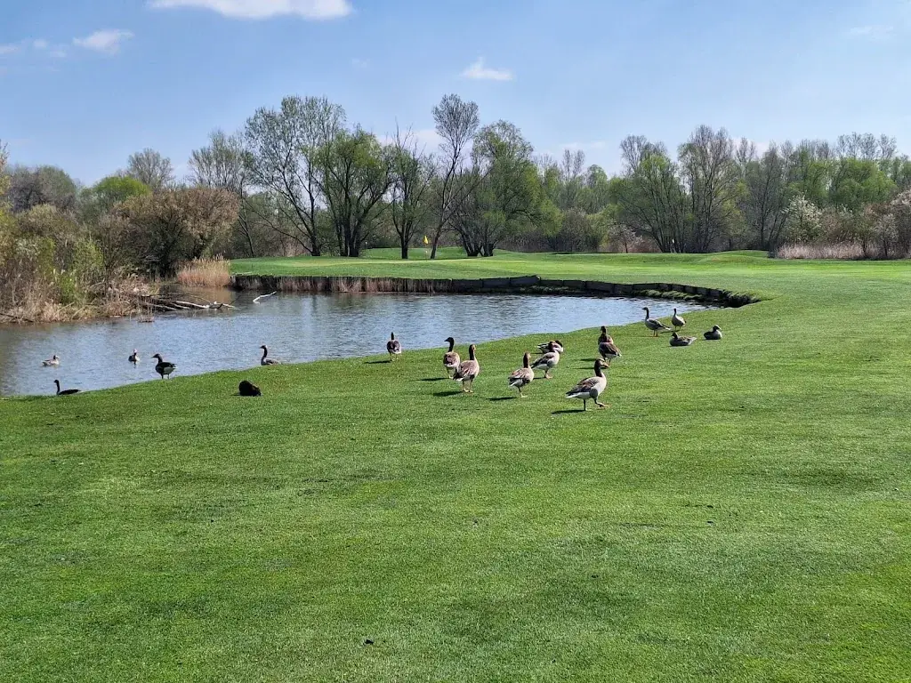 Mario Kalenda_Golfclub Donnerskirchen_Donnerskirchen_review