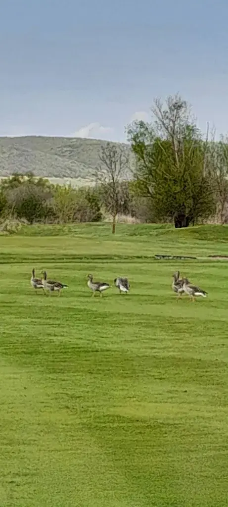 Golfclub Donnerskirchen_Donnerskirchen_slider_image_2