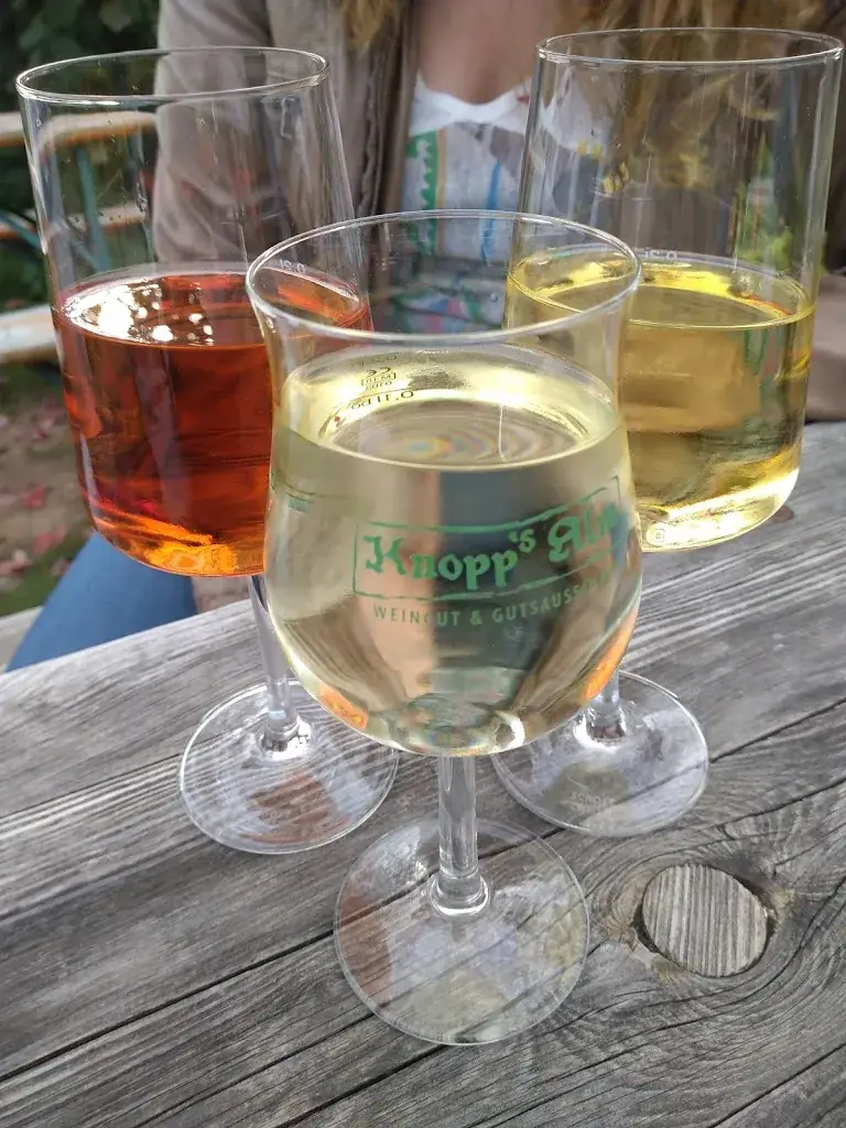 Menu_Knopp's Alm_Frauenstein_image_8