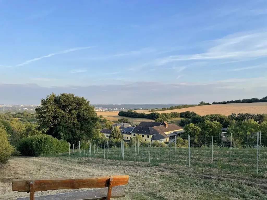 Sascha_Knopp's Alm_Frauenstein_review