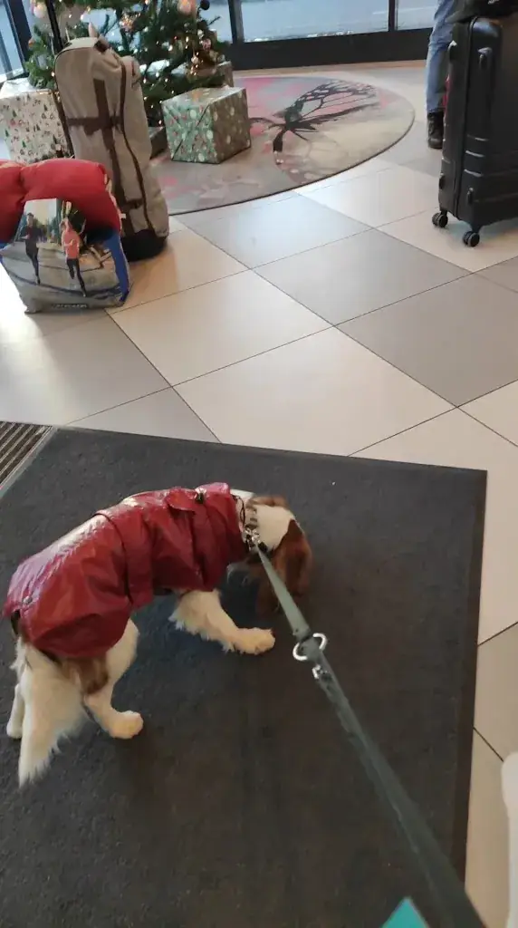 ibis Styles Klagenfurt am Woerthersee_Ferlach_slider_image_2