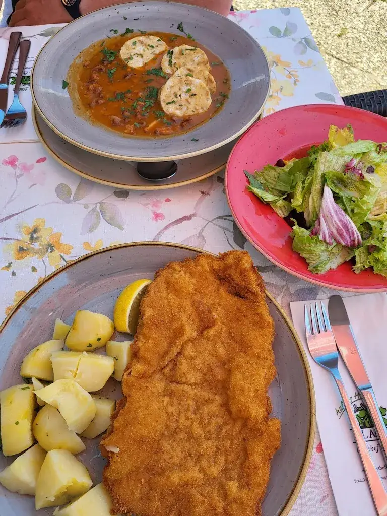 Menu_Gasthof Plasch_Ferlach_image_6