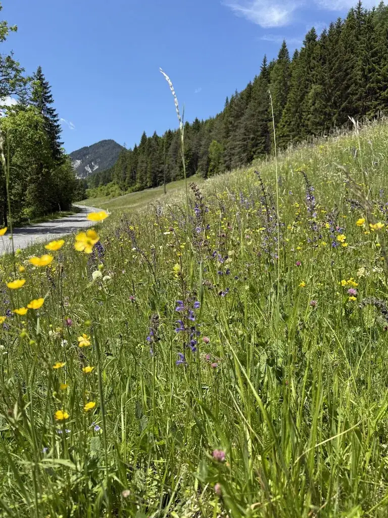 Herwig Winkler_Gasthaus Kirchenwirt_Ferlach_avis