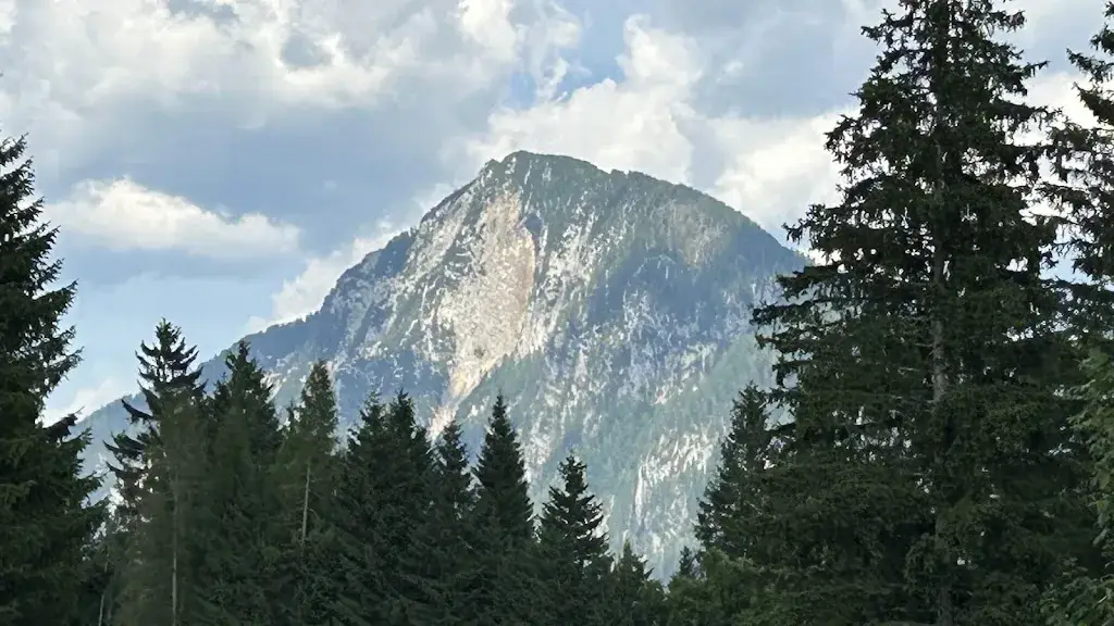 christian meyer_Feidlwirt_Ferlach_review