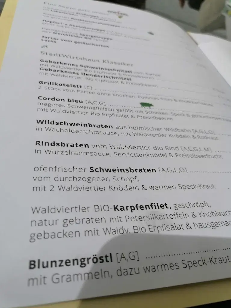 Menu_Stadtwirtshaus Hopferl_Gmünd_image_4