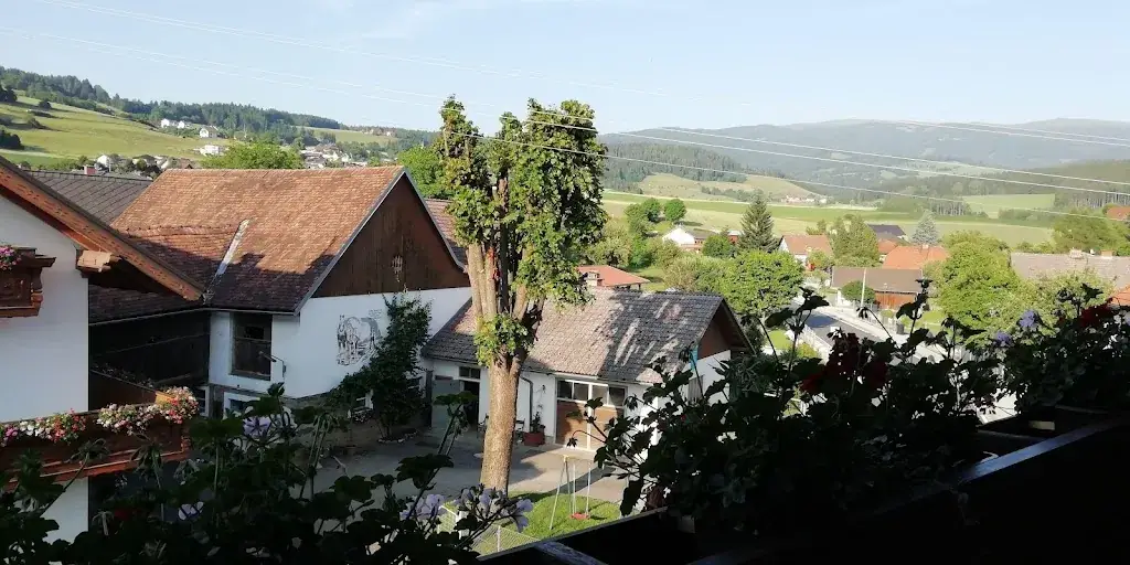 Mauro Andreolli_Gasthof-Platzschmied_Guttaring_avis