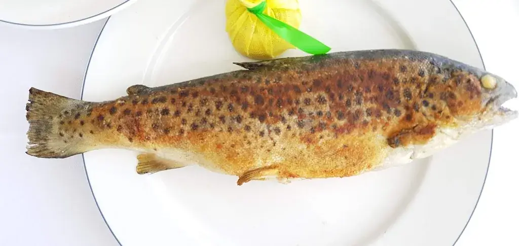 Menu_See-Restaurant Porto Bello & Lounge - Hotel Schloss Seefels_Görtschach_image_2