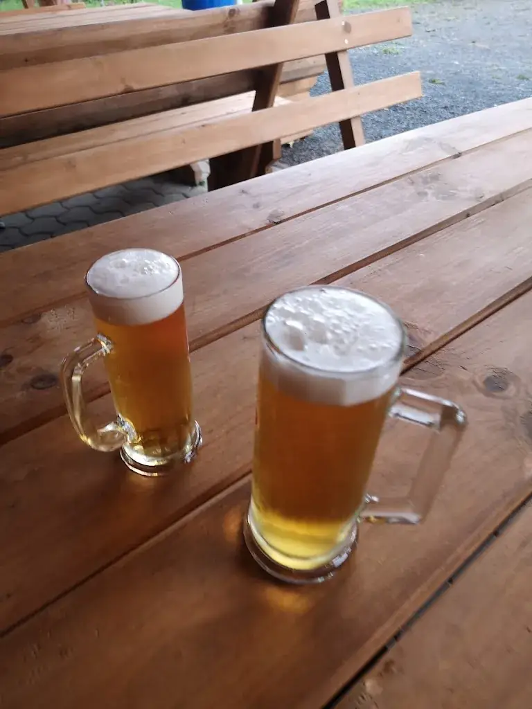 Deimantas K_Barbara Kuglitsch_Hohenthurn_recensione