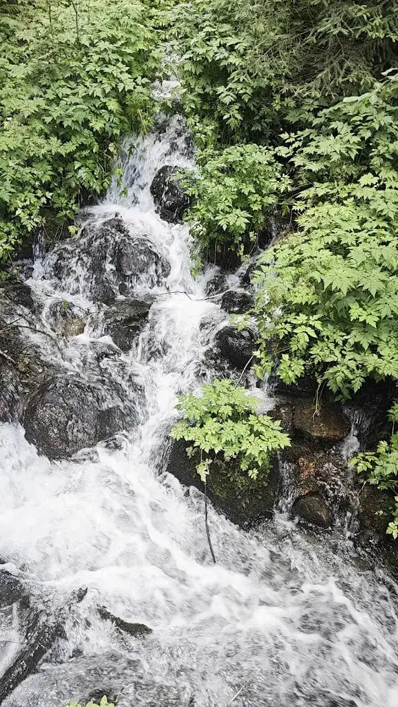 Debóra sv_Forellenhof Pluch_Himmelberg_review