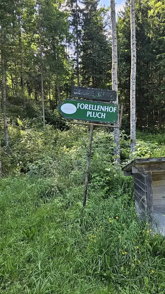 Dieter Mogk_Forellenhof Pluch_Himmelberg_review