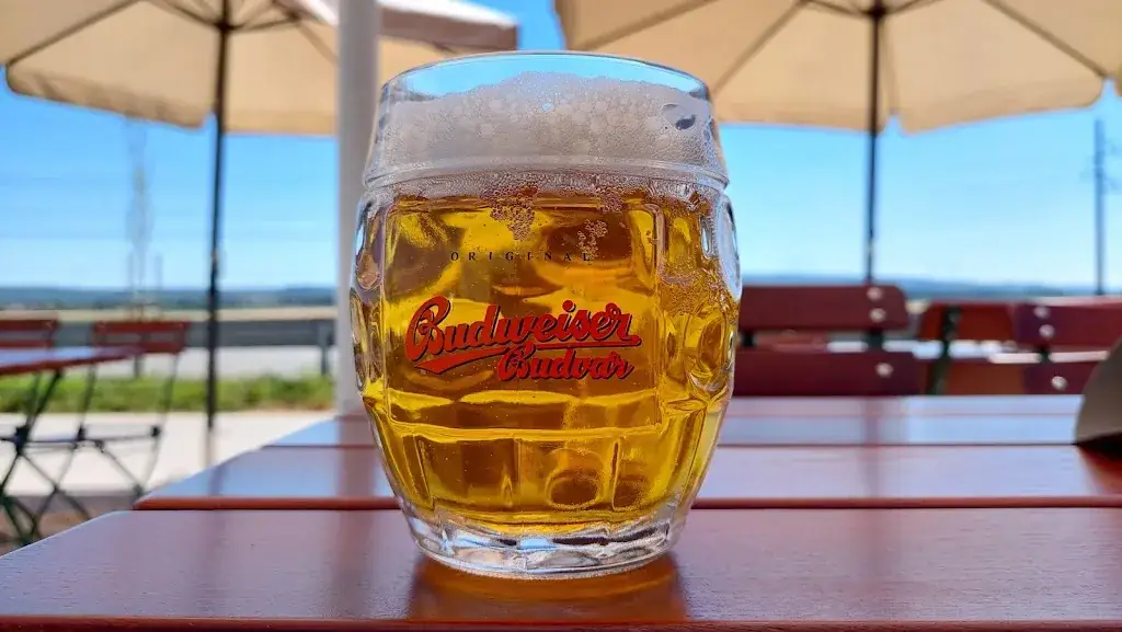 Menu_Das Glashaus_Bruckneudorf_image_6