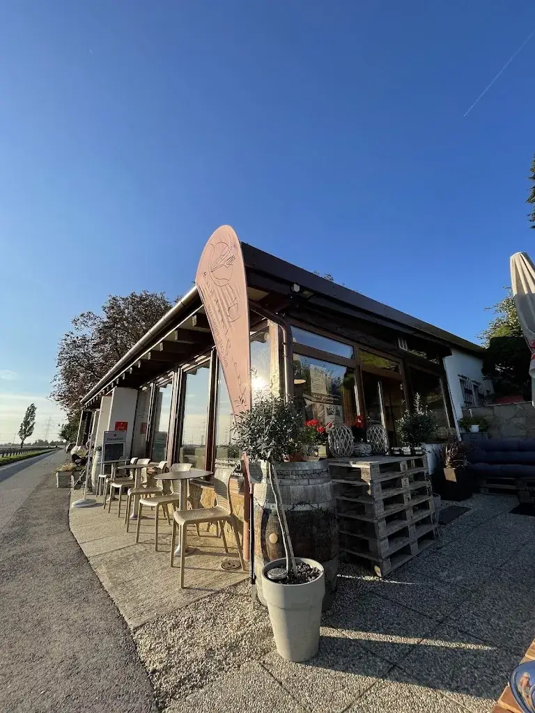 Dragos Anca_Das Glashaus_Bruckneudorf_review