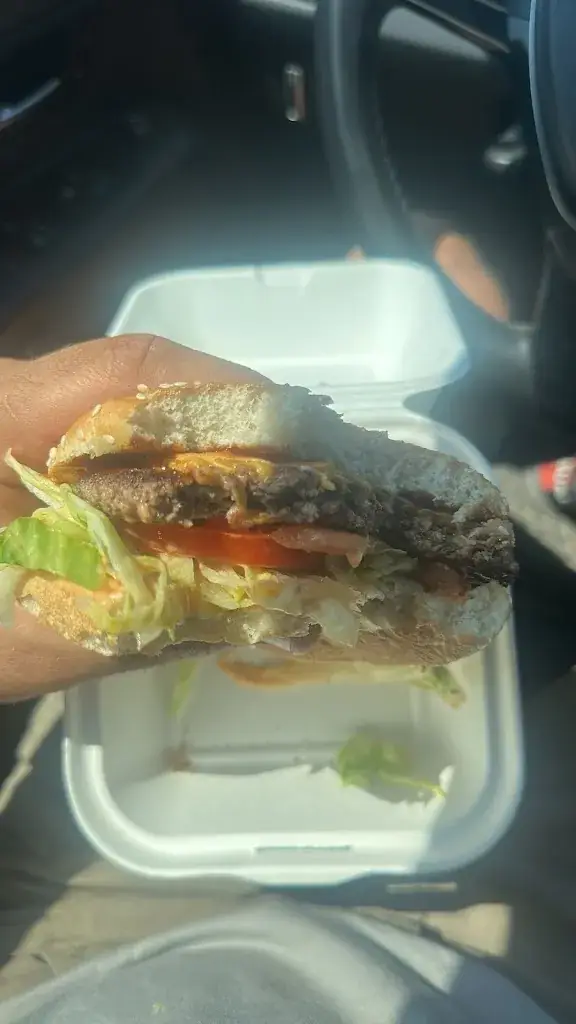Mitica Rus_Bulls Burgers Food Truck_Bruckneudorf_review