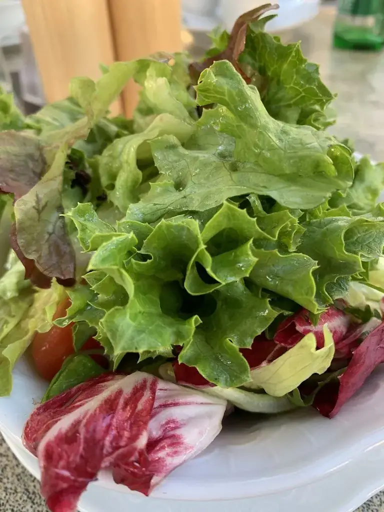 ahmed taleb_LADICH'S STEAK-HOUSE Parndorf Restaurant - The Original SINCE 1997_Bruckneudorf_review