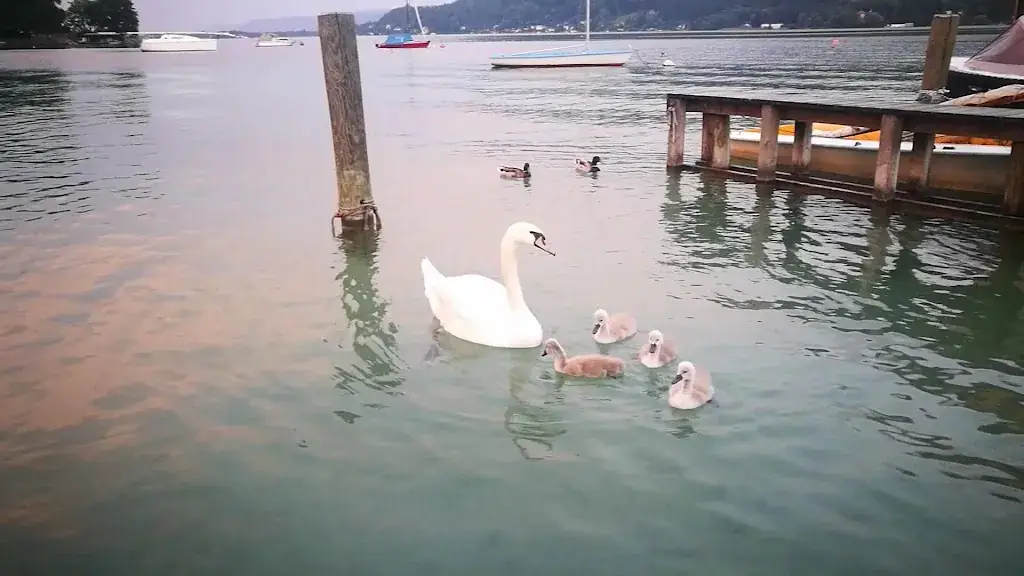 BAD STICH Seerestaurant_Keutschach am See_slider_image_2