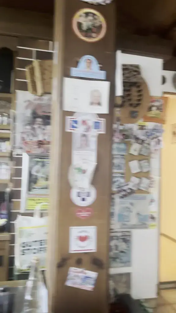 Jannick Quatowitz (JanQua)_Gasthof Mariandl_Keutschach am See_avis