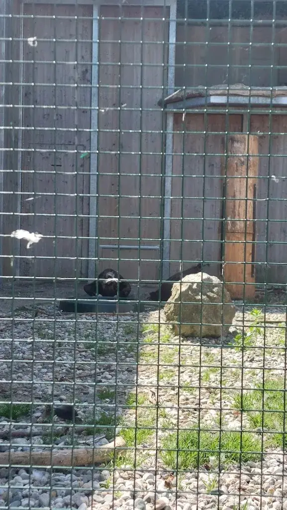 Kristina Starčić_Landskron Castle_Landskron_recensione