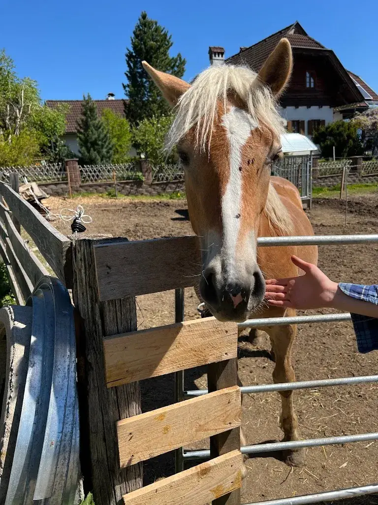 Bartek Podolski_Hof Karlbauer_Lendorf_avis