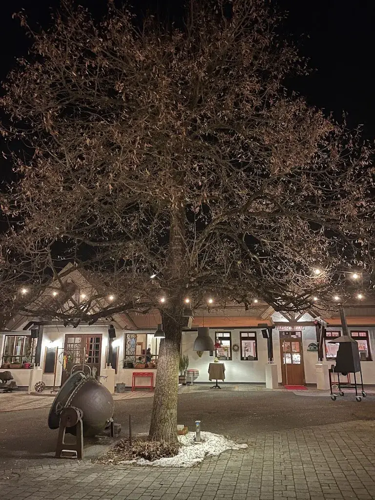 Pieter van der Werf_Harry's Farm - Steakhouse am Faaker See_Ledenitzen_avis