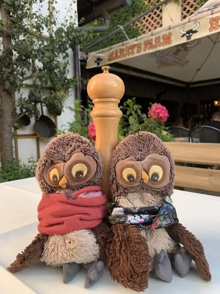 Evi Napetschnig_Harry's Farm - Steakhouse am Faaker See_Ledenitzen_avis