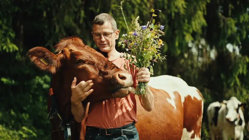 Urlaub am Bauernhof Sörgerwirt_Liebenfels_slider_image_3