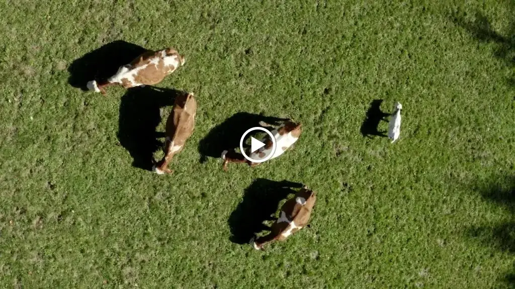 Berggasthof-Pension Lahnerhof_Lesachtal_slider_image_2