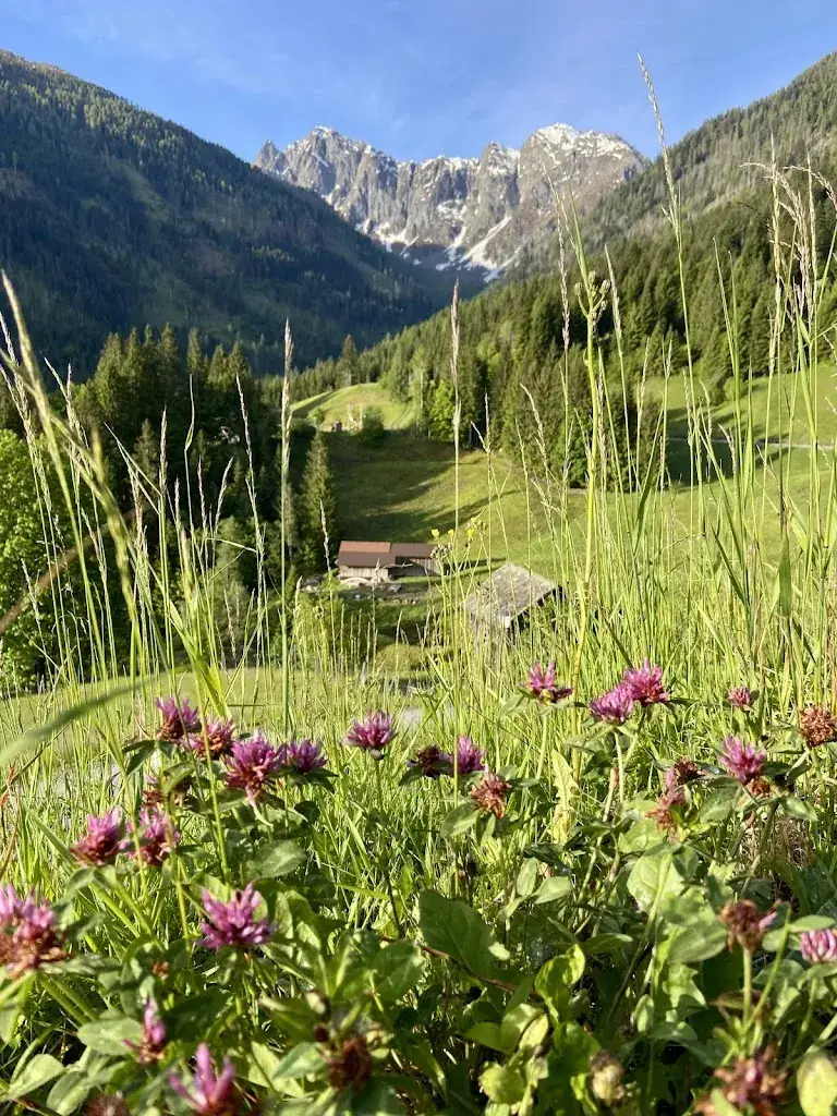 Tom De Meulemeester_Alpenhotel Wanderniki_Lesachtal_avis