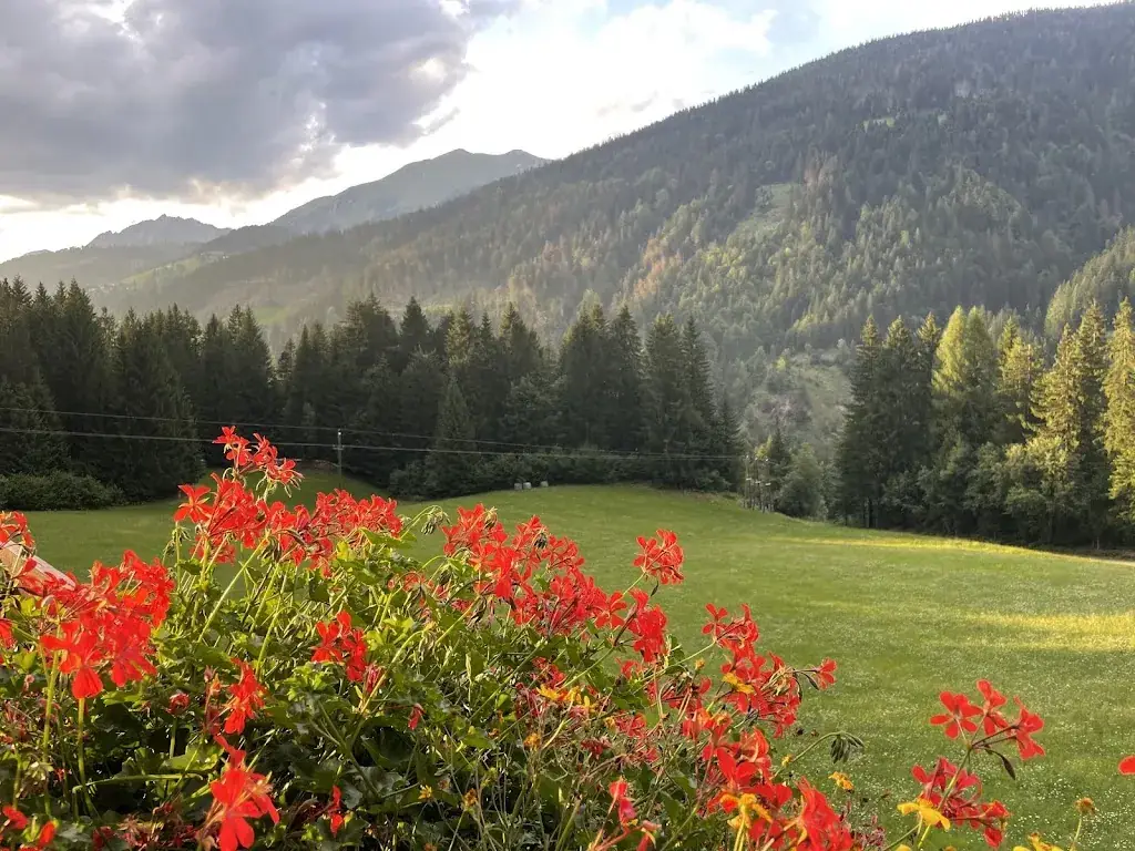 Leonie Gavrias_Gasthof Pension Waldfriede_Lesachtal_avis