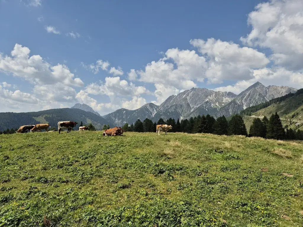 Lackenalm_Lesachtal_slider_image_3