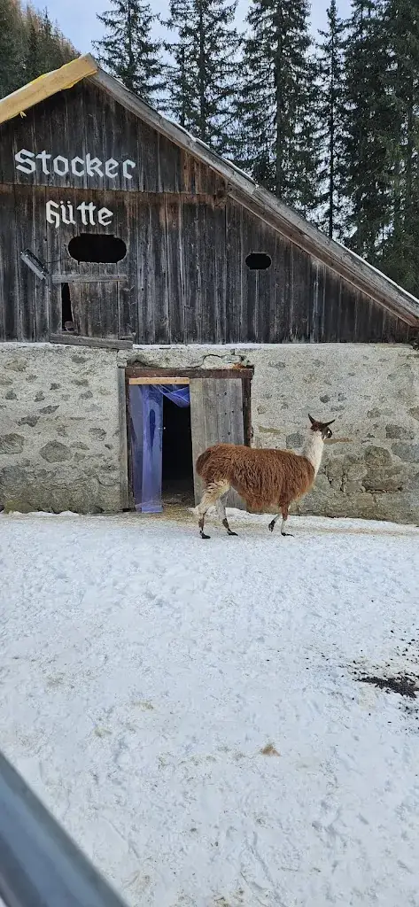 Vedrana Ozegovic_Stockerhütte_Mallnitz_recensione