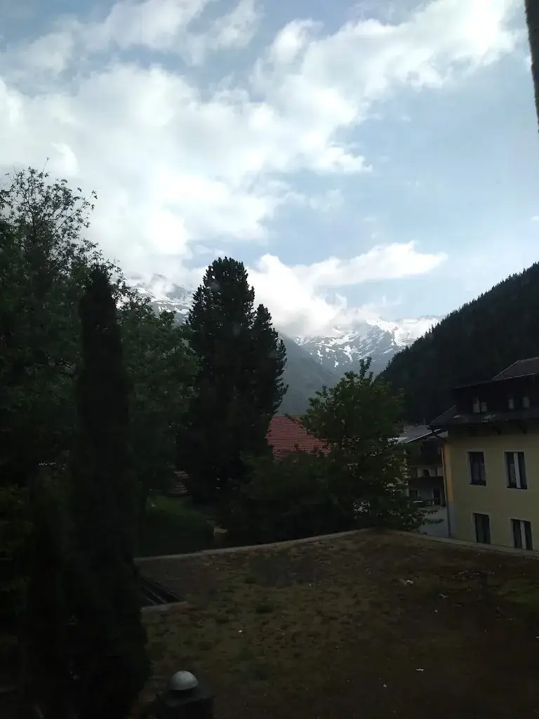 Vegan Luggage_Ferienhotel Alber_Mallnitz_avis