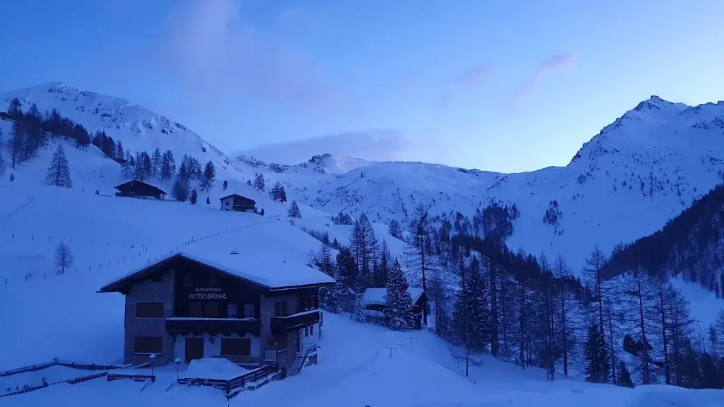 Damir Zagar_Sadnighaus_Mörtschach_avis