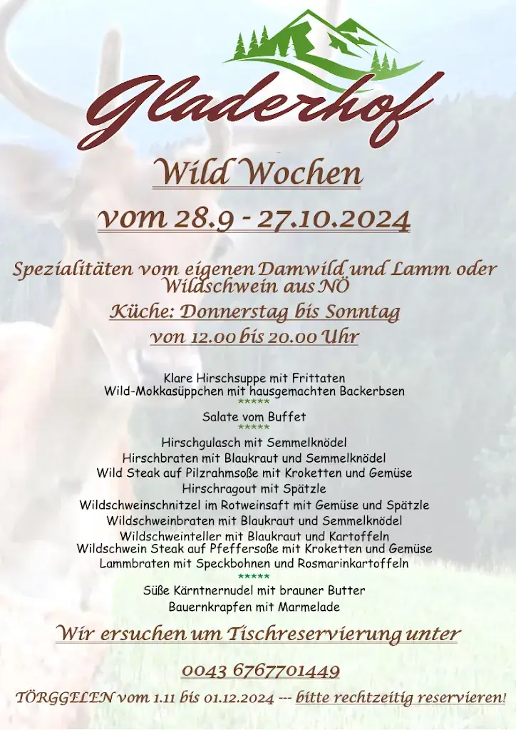 Menu_Gladerhof_Oberdrauburg_image_3