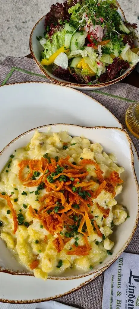 Menu_Lindenhof Wirtshaus und Biergarten_Obermillstatt_immagine_8