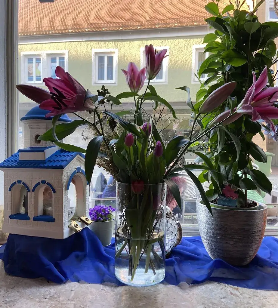 Алена Панибратец_Alexander The Great Griechisches Restaurant_Moosburg_avis