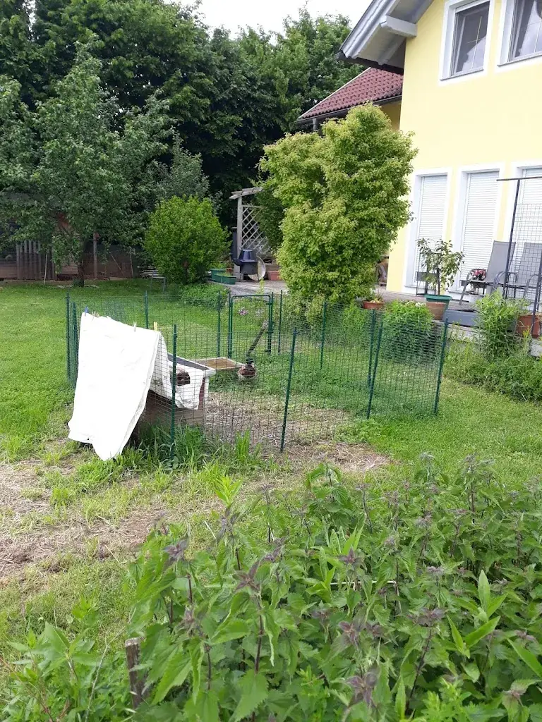 PizzaRIO_Poggersdorf_slider_image_3