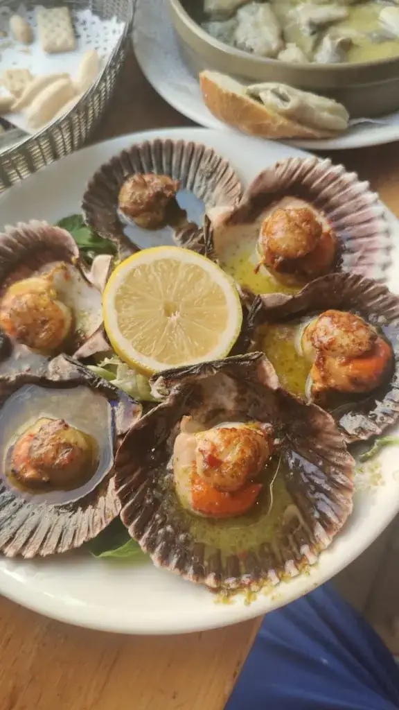 Menu_Barril de Goya_Priel_immagine_9