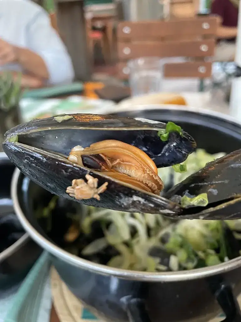 Menu_Gasthaus Kollerwirt_Pischeldorf_image_6