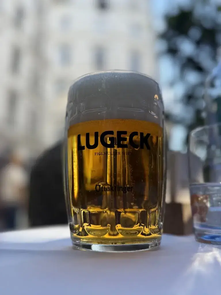 Samsher Singh_Lugeck_Reding_recensione