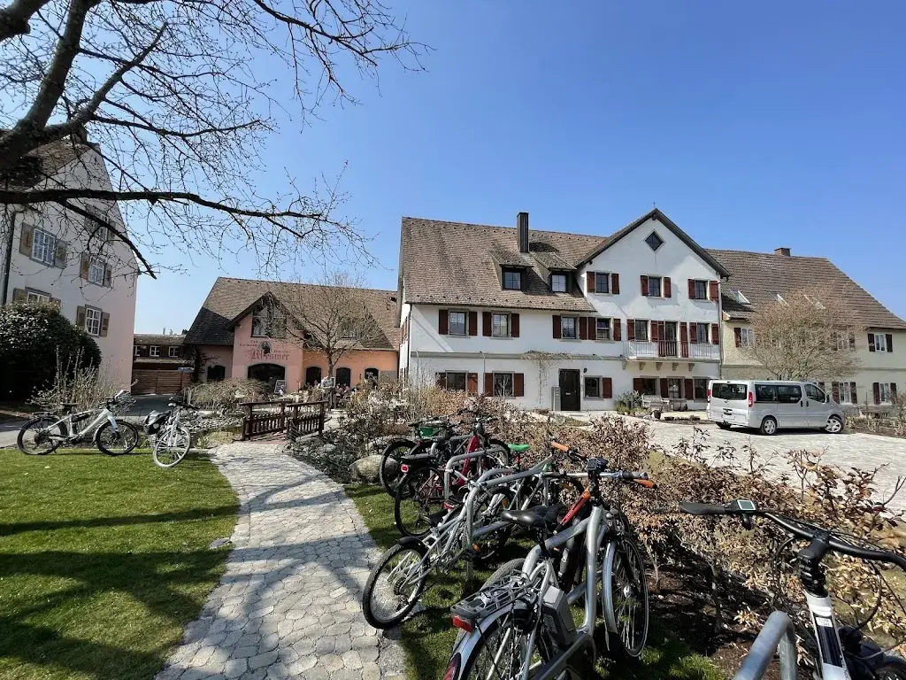 Márton Lukács_Zum alten Mesmer_Reichenau_avis