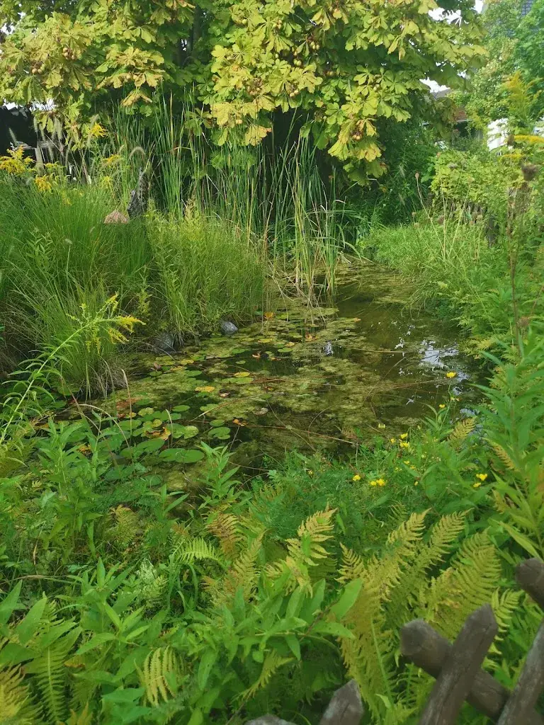 Monika Do_Reichenauer Salatstube_Reichenau_avis