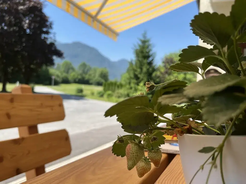 Li Konig_die Hauswirtschaft - Restaurant Rosental_Sankt Jakob im Rosental_recensione