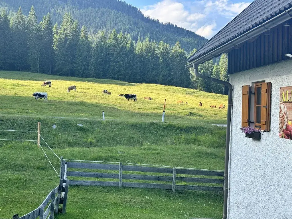 Almstub'n Pöllandalm_Sankt Stefan im Gailtal_slider_image_2
