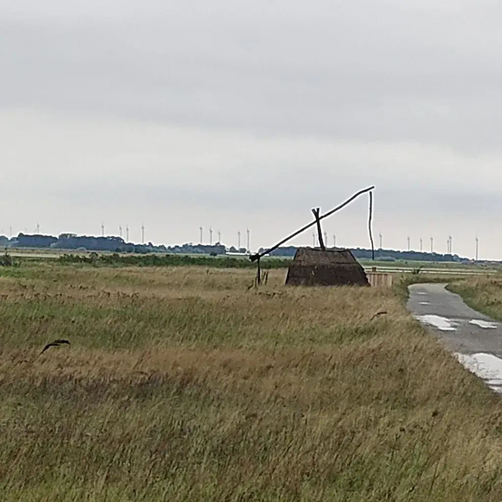 Bernd Richter_Nationalpark Stüberl | Lange Lacke Apetlon_Apetlon_avis