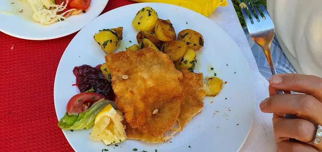 Menu_Gasthof Anderwald_Schiefling am See_immagine_7