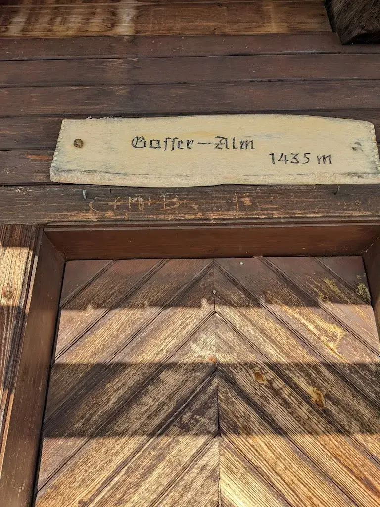 Vincent Chi Zhang_Gasser Alm_Stockenboi_avis